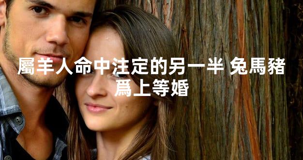 屬羊人命中注定的另一半 兔馬豬爲上等婚